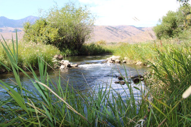 803-805 West College Street Mackay, ID 83251 - Photo 26 of 28
