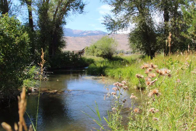 $450,000 | 803-805 West College Street, Mackay, ID 83251