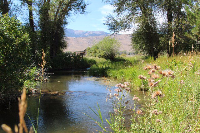 803-805 West College Street Mackay, ID 83251 - Photo 3 of 28