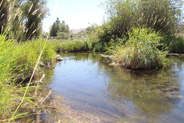 $450,000 | 803-805 West College Street, Mackay, ID 83251