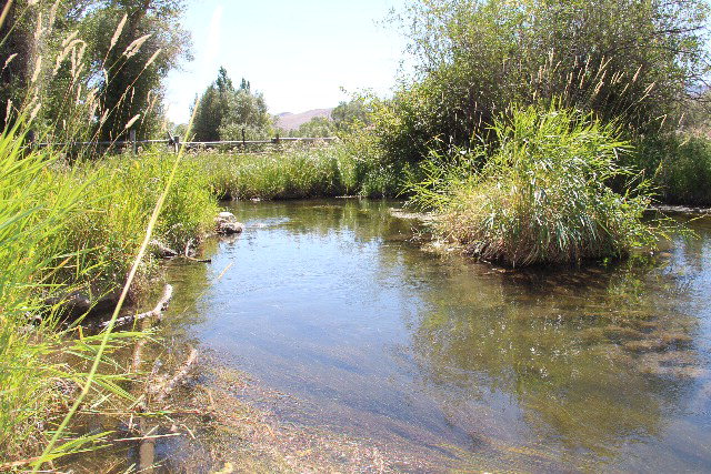 803-805 West College Street Mackay, ID 83251 - Photo 4 of 28