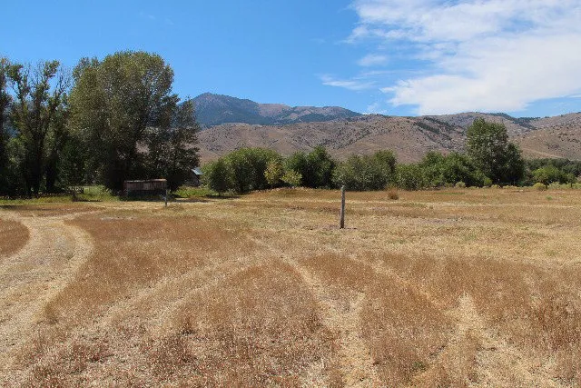 $450,000 | 803-805 West College Street, Mackay, ID 83251