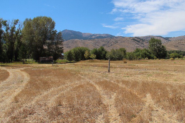 803-805 West College Street Mackay, ID 83251 - Photo 7 of 28