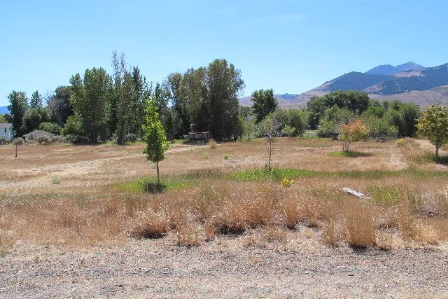 $450,000 | 803-805 West College Street, Mackay, ID 83251