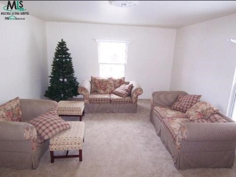 5514 Rochester Road Dryden, MI 48428 - Photo 3 of 6 494420-2.JPG