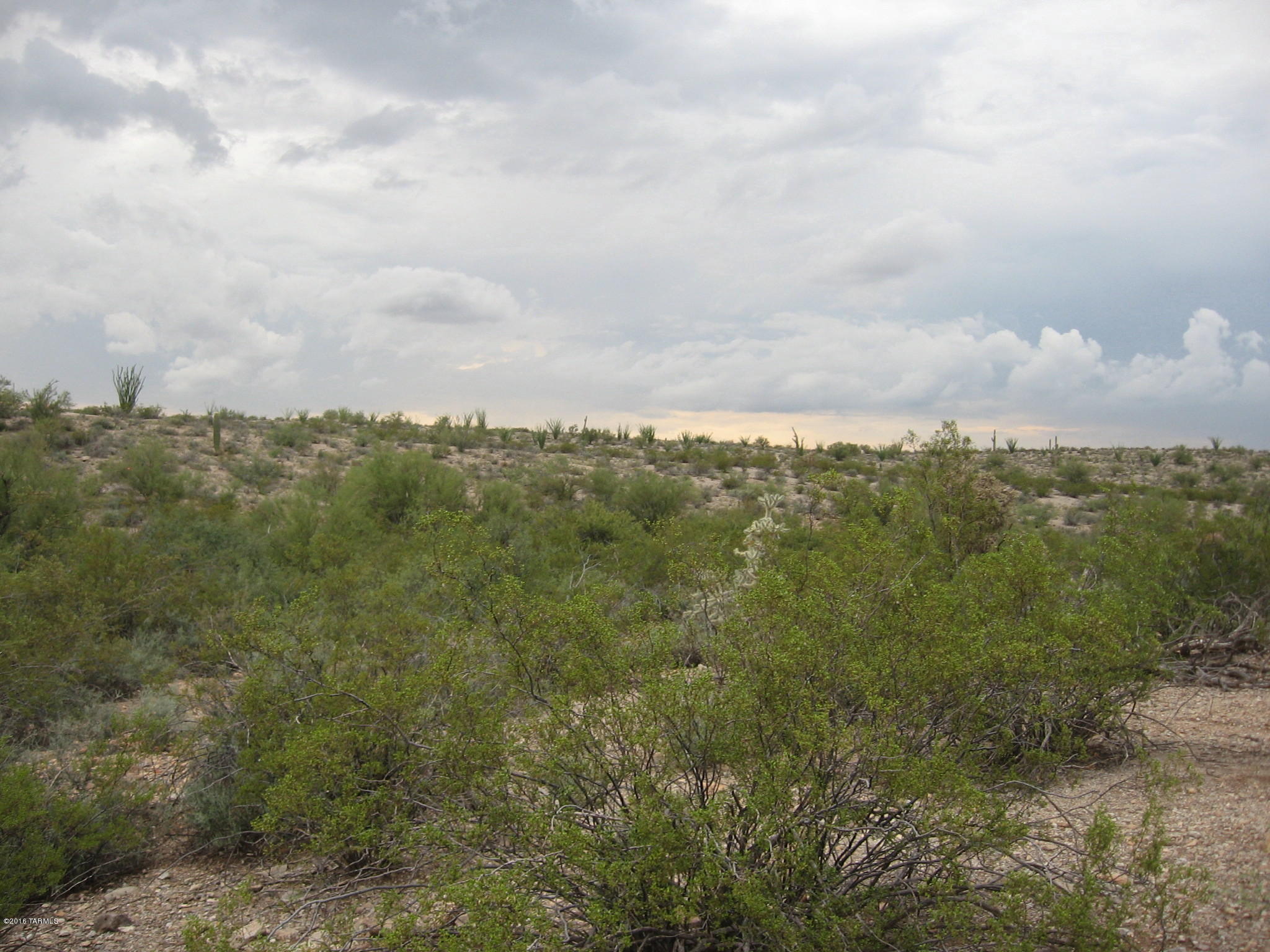 Jacob Road Tucson, AZ 85745 - Photo 1 of 3