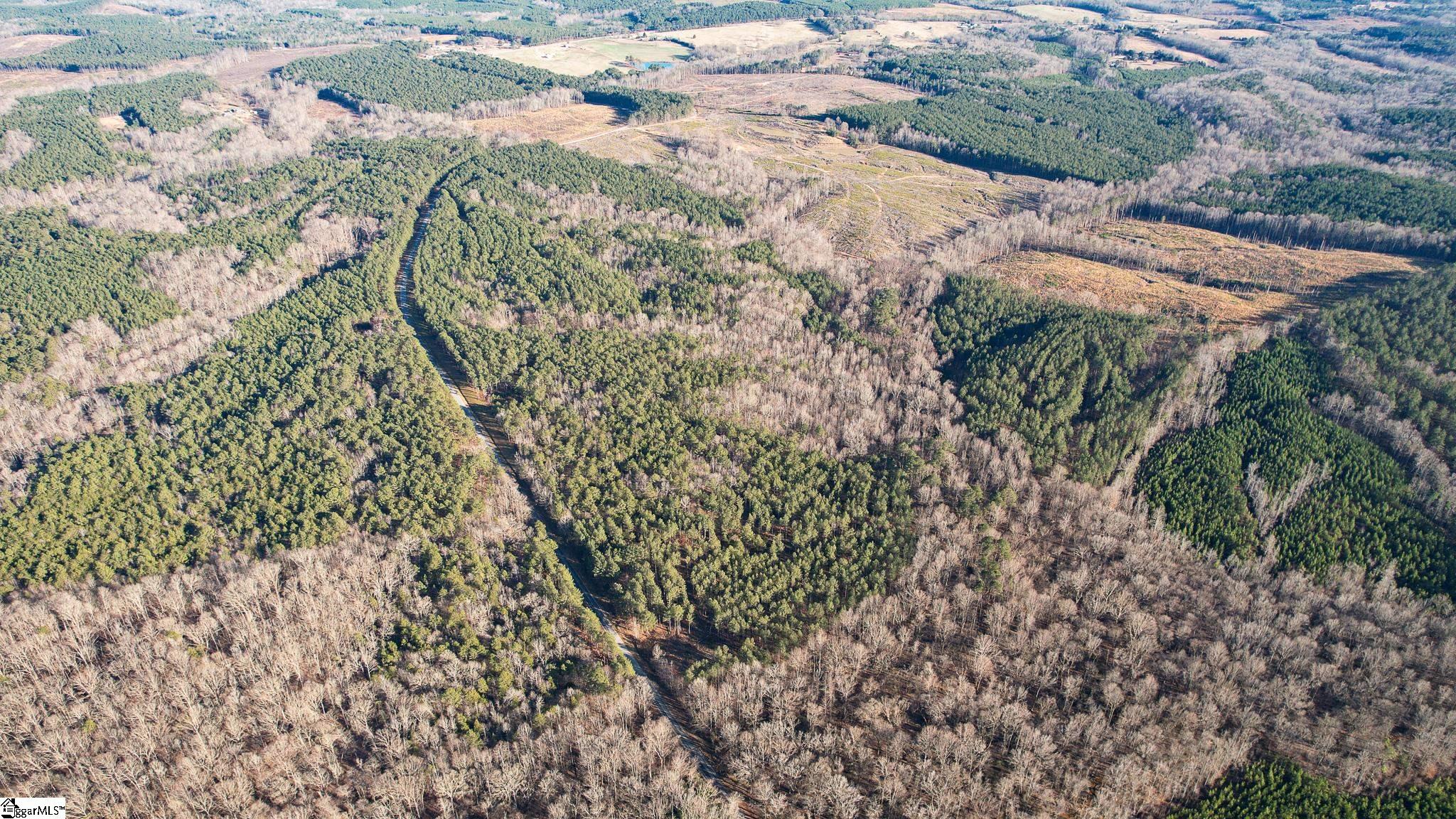 0 Elford Grove Road, Unit TRACT 8 Jonesville, SC 29353 - Photo 11 of 33 Gallery Image 11