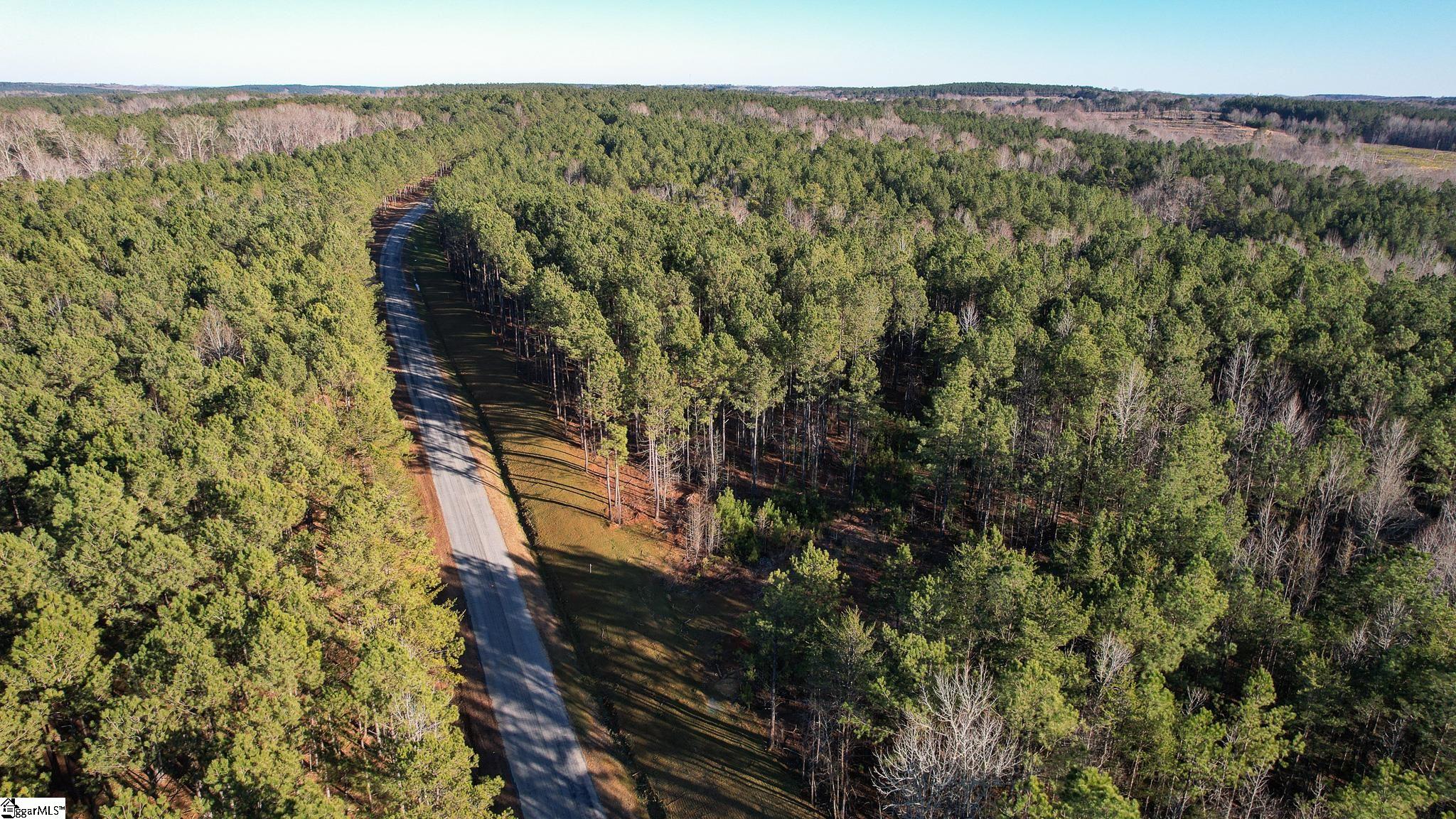 0 Elford Grove Road, Unit TRACT 8 Jonesville, SC 29353 - Photo 14 of 33 Gallery Image 14