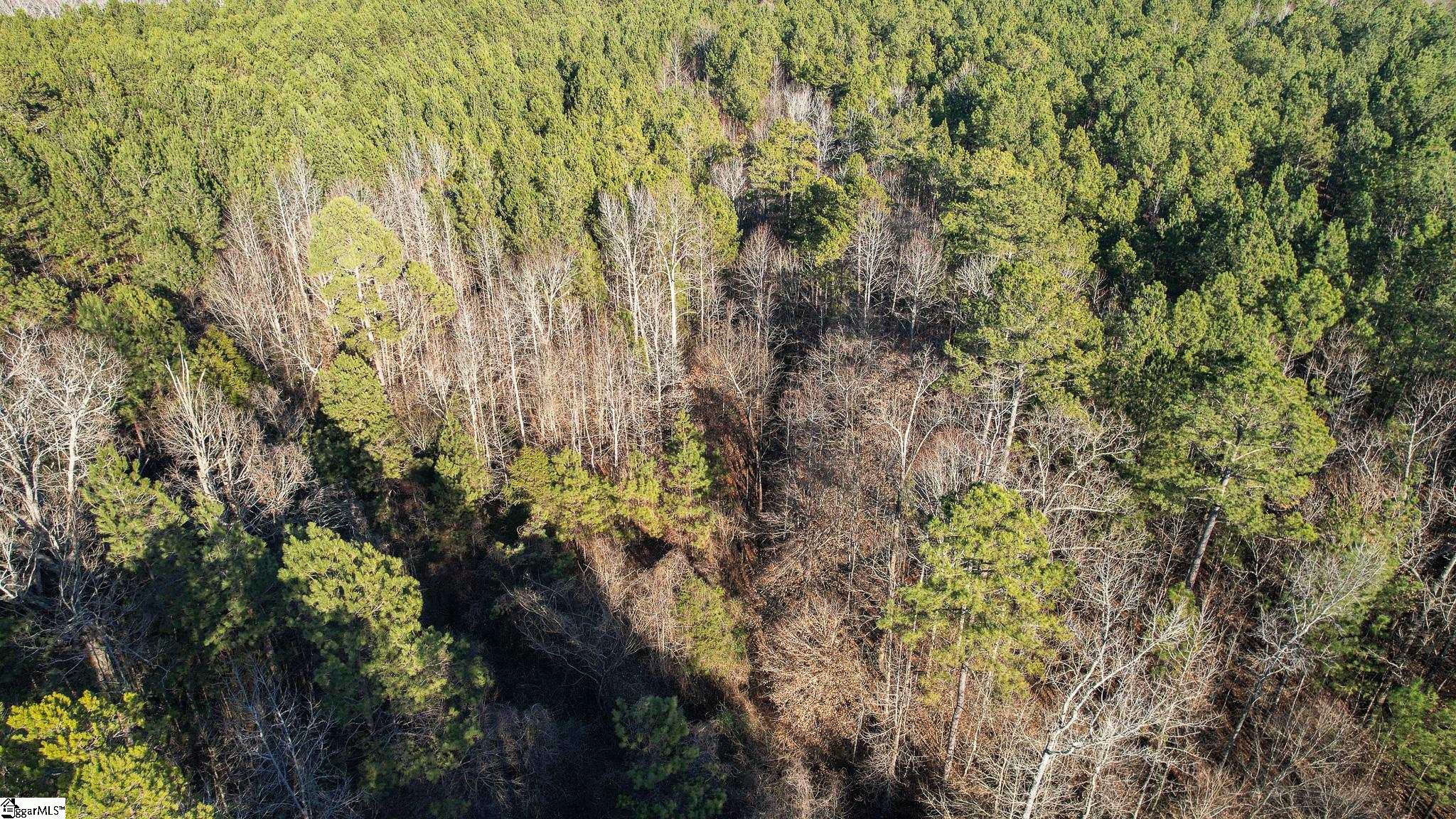 0 Elford Grove Road, Unit TRACT 8 Jonesville, SC 29353 - Photo 15 of 33 Gallery Image 15
