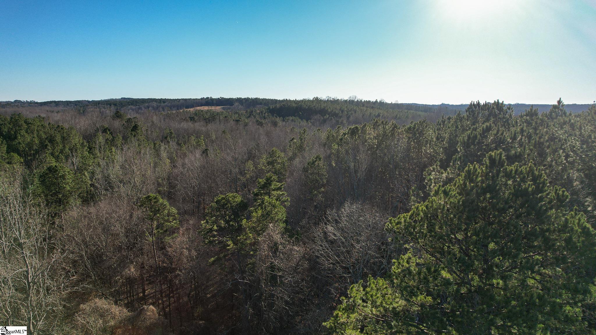 0 Elford Grove Road, Unit TRACT 8 Jonesville, SC 29353 - Photo 17 of 33 Gallery Image 17