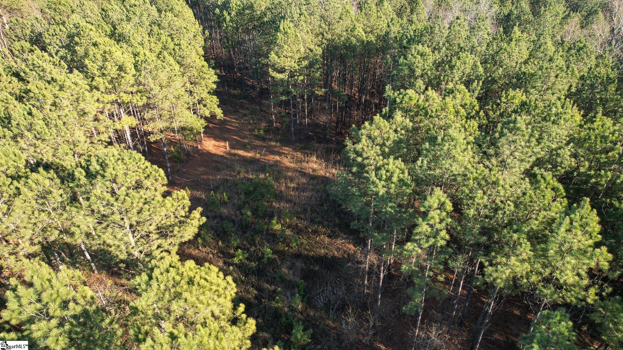 0 Elford Grove Road, Unit TRACT 8 Jonesville, SC 29353 - Photo 19 of 33 Gallery Image 19