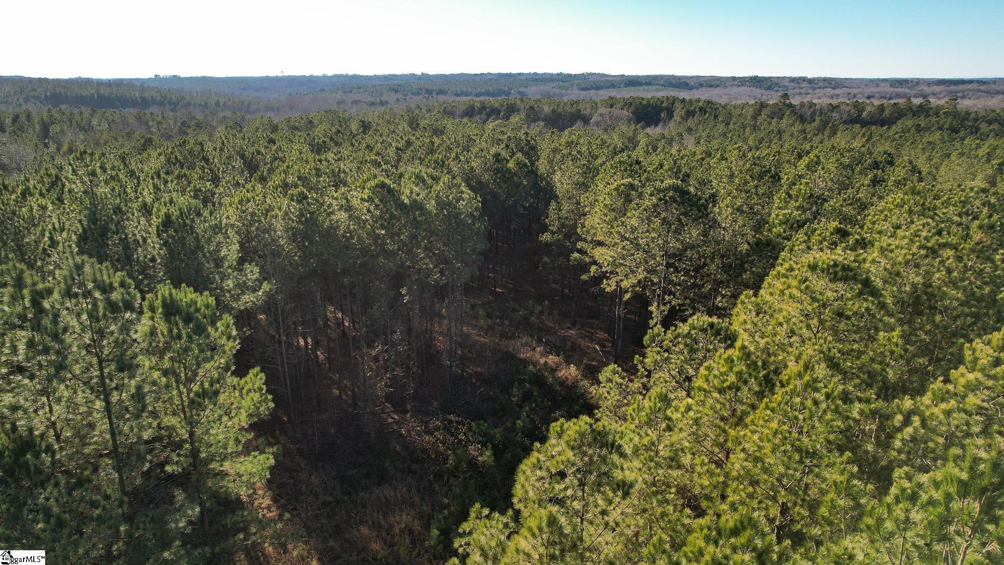 0 Elford Grove Road, Unit TRACT 8 Jonesville, SC 29353 - Photo 20 of 33 Gallery Image 20