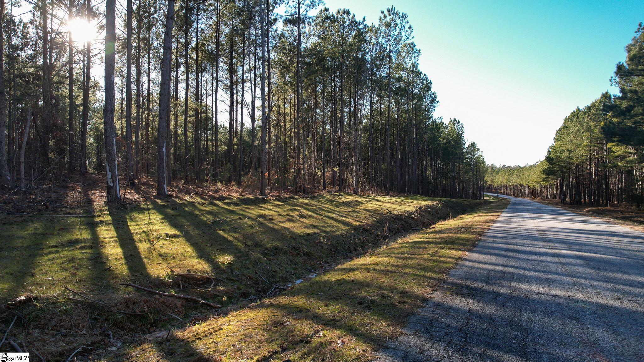 0 Elford Grove Road, Unit TRACT 8 Jonesville, SC 29353 - Photo 22 of 33 Gallery Image 22