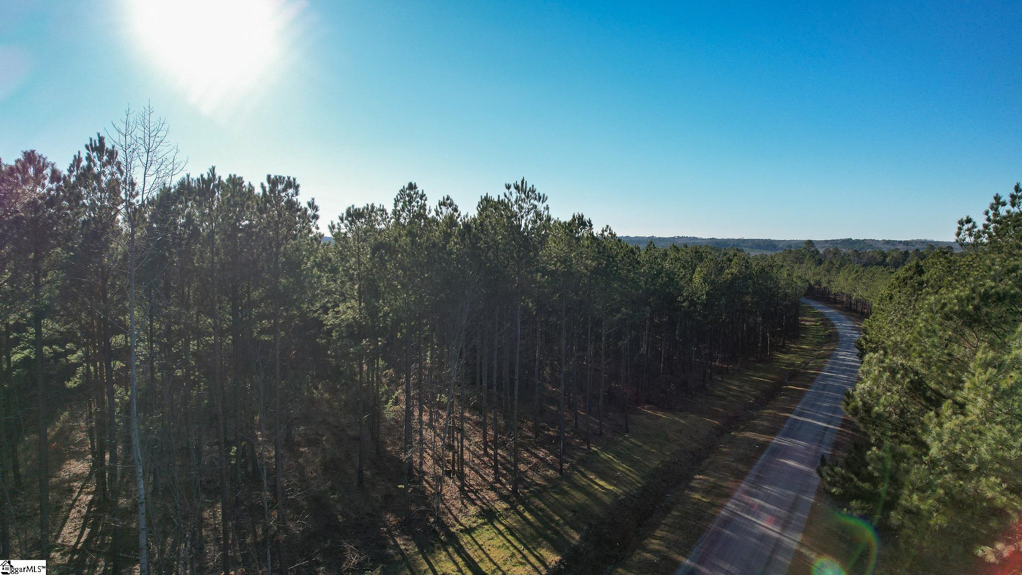 0 Elford Grove Road, Unit TRACT 8 Jonesville, SC 29353 - Photo 23 of 33 Gallery Image 23