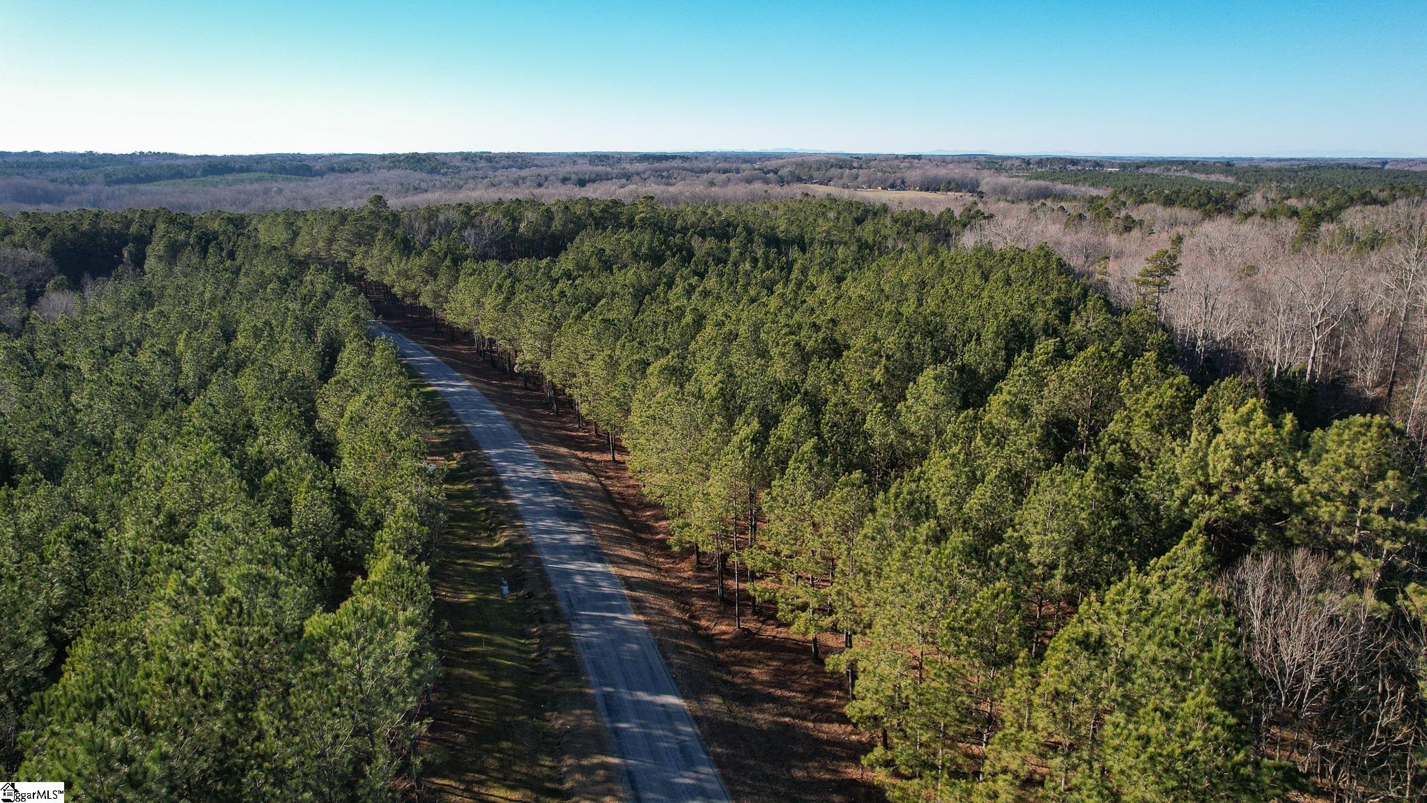 0 Elford Grove Road, Unit TRACT 8 Jonesville, SC 29353 - Photo 25 of 33 Gallery Image 25