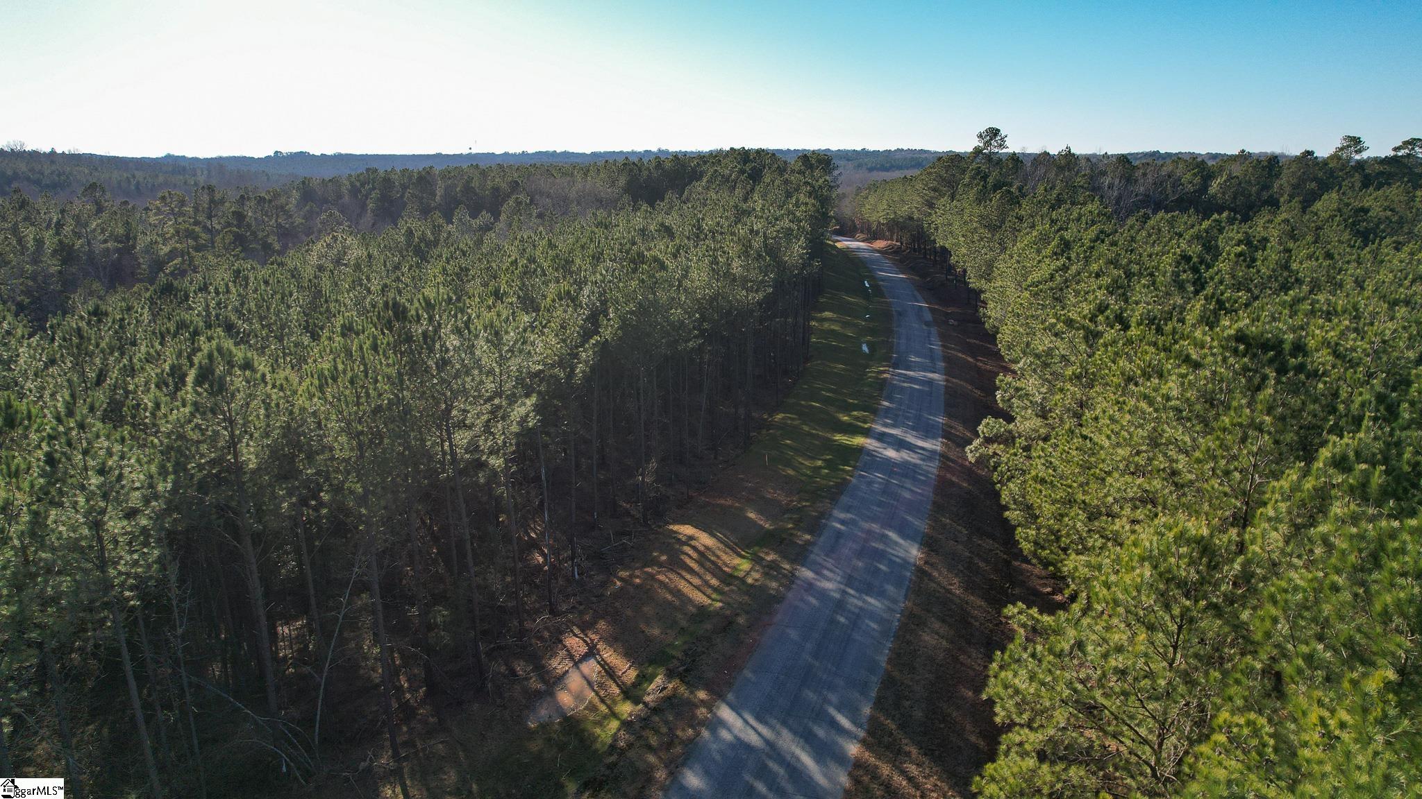 0 Elford Grove Road, Unit TRACT 8 Jonesville, SC 29353 - Photo 26 of 33 Gallery Image 26