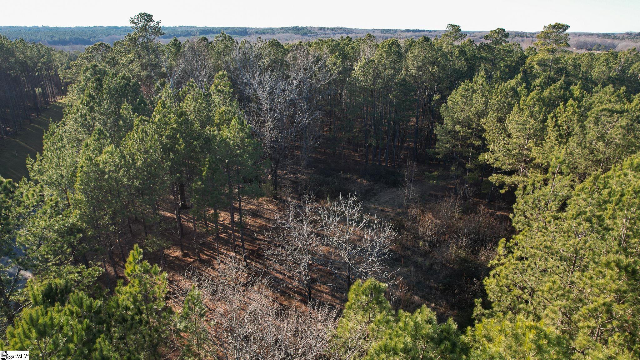 0 Elford Grove Road, Unit TRACT 8 Jonesville, SC 29353 - Photo 27 of 33 Gallery Image 27