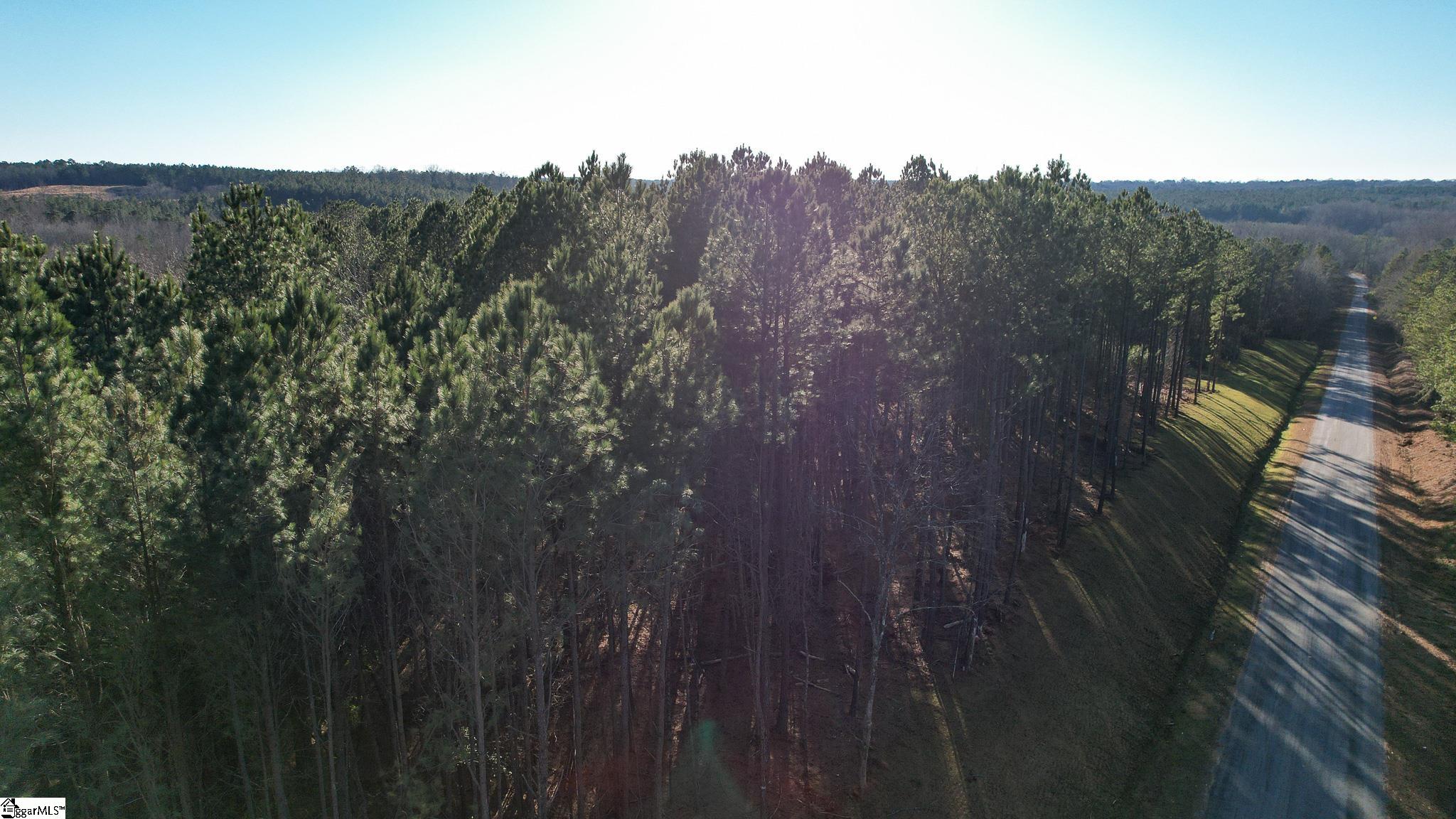 0 Elford Grove Road, Unit TRACT 8 Jonesville, SC 29353 - Photo 28 of 33 Gallery Image 28