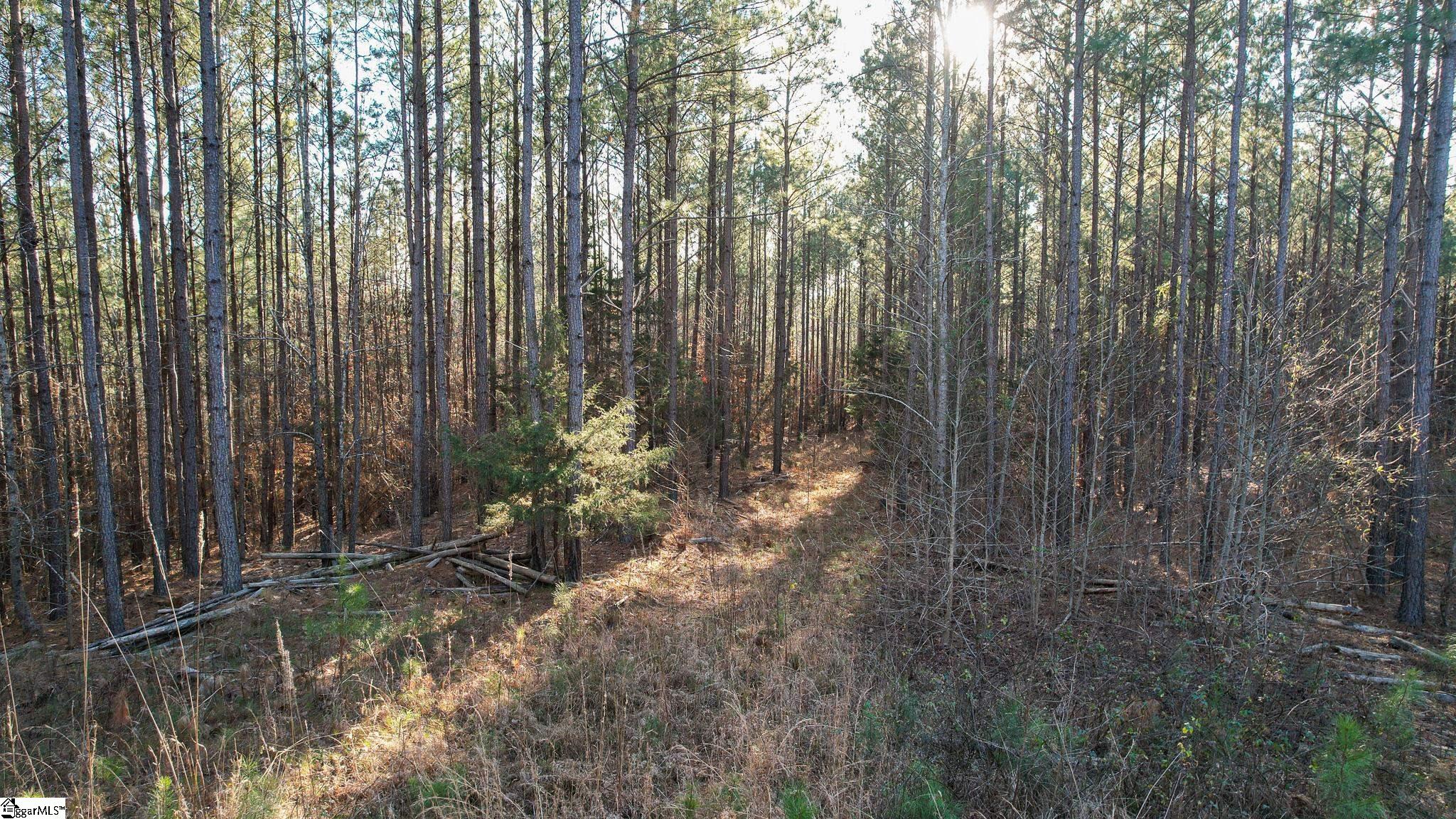 0 Elford Grove Road, Unit TRACT 8 Jonesville, SC 29353 - Photo 31 of 33 Gallery Image 31