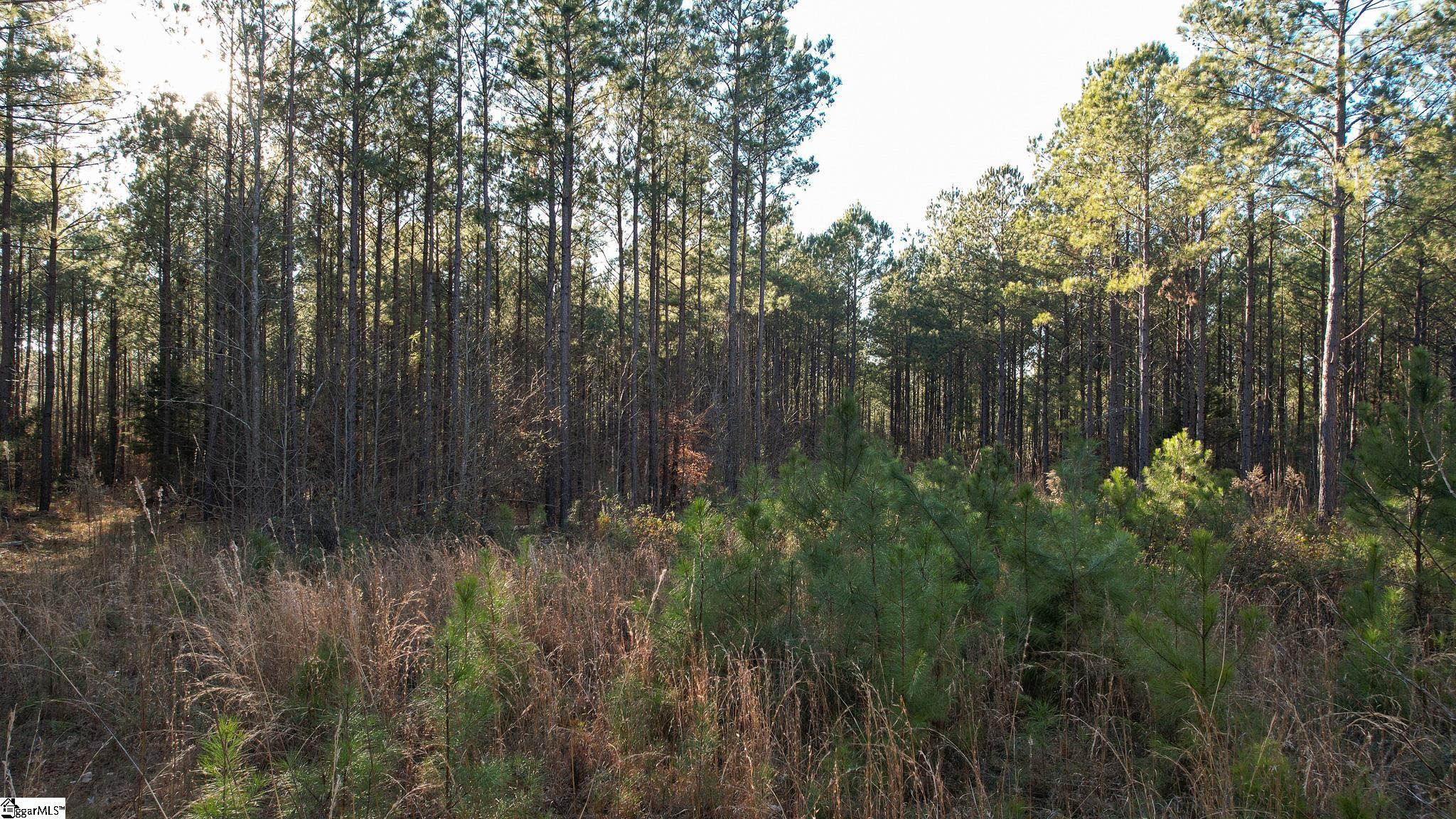 0 Elford Grove Road, Unit TRACT 8 Jonesville, SC 29353 - Photo 32 of 33 Gallery Image 32