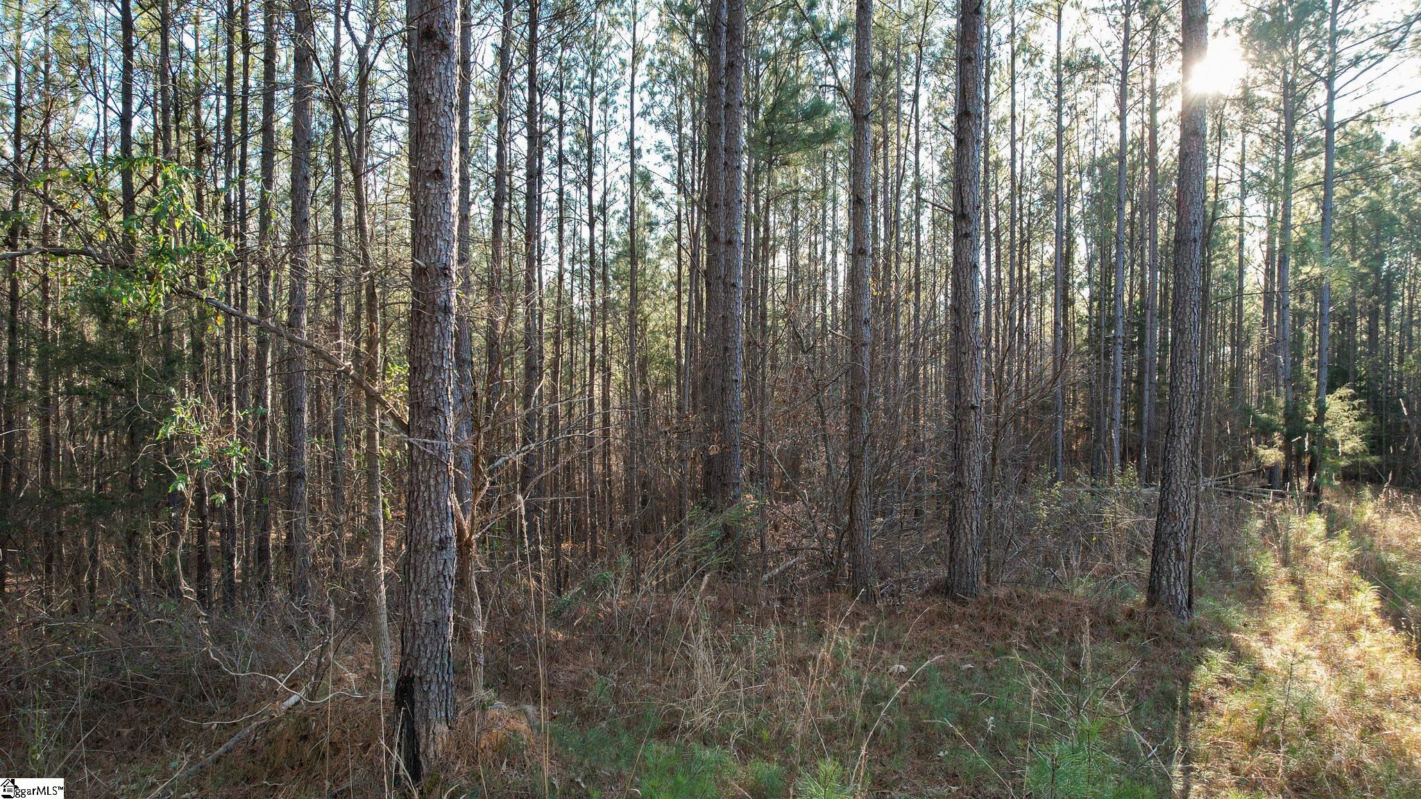 0 Elford Grove Road, Unit TRACT 8 Jonesville, SC 29353 - Photo 33 of 33 Gallery Image 33