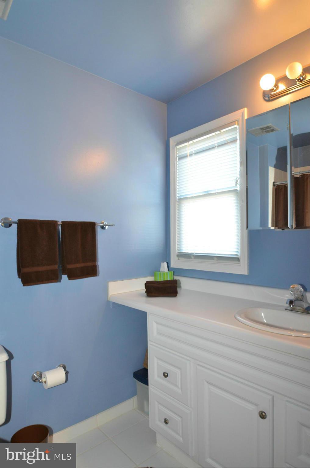 4202 Roland Avenue, Unit 208 P14 Baltimore, MD 21211 - Photo 14 of 26 Bath (Master)