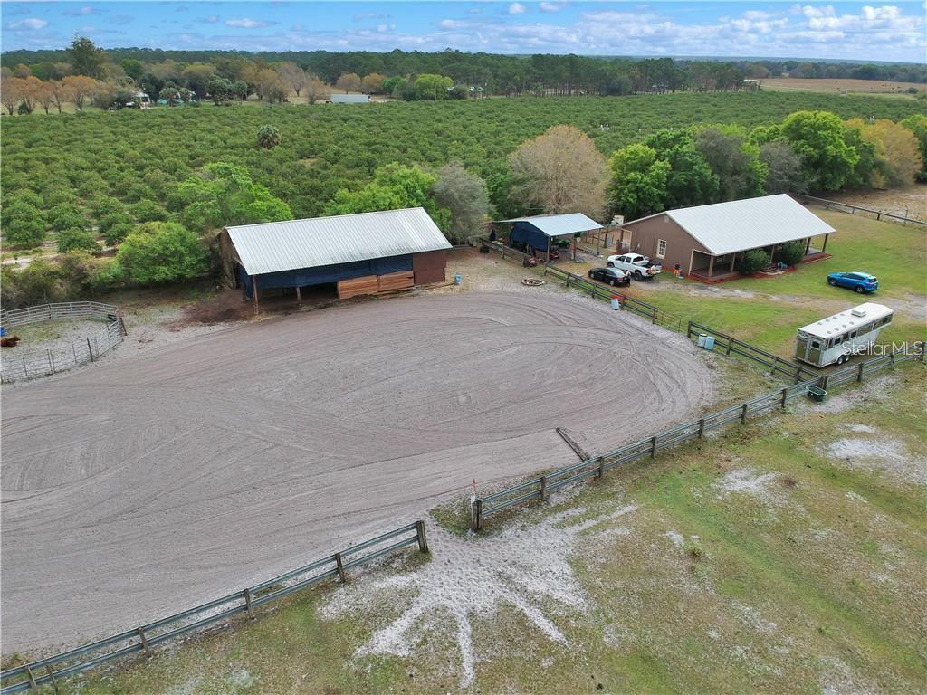 a view of a garden with lawn chairs