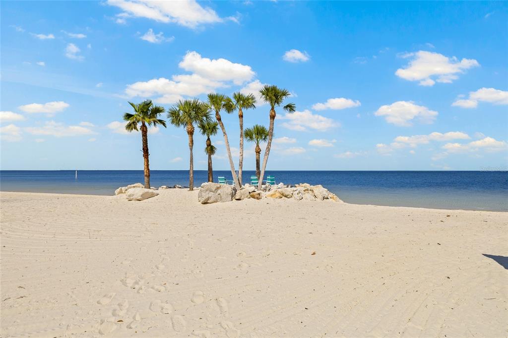5523 Yellowfin Court New Port Richey, FL 34652 - Photo 55 of 58 a vase of flowers sitting on a table