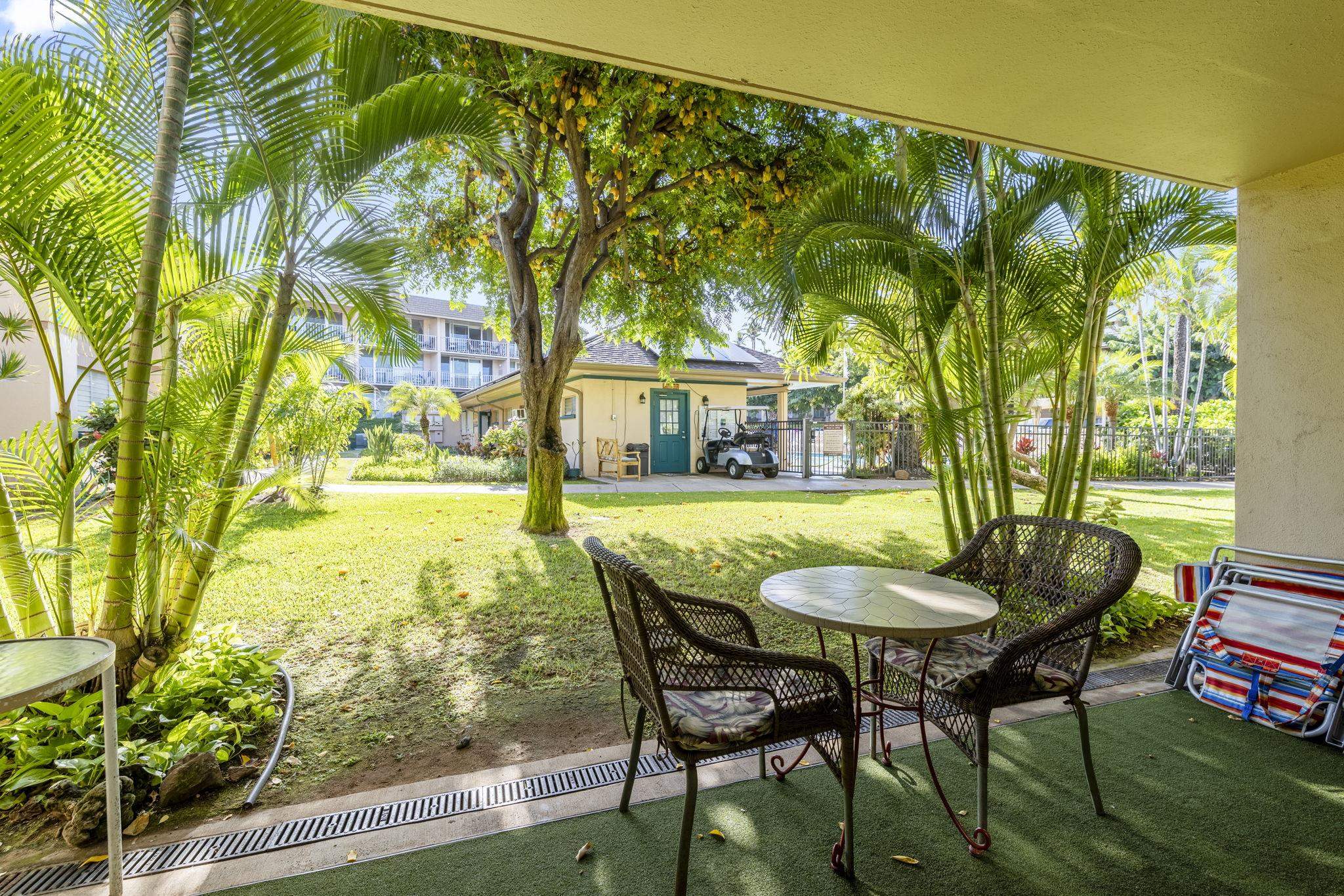 2495 South Kihei Road, Unit 120 Kihei, HI 96753 - Photo 21 of 40 a view of a two chairs in the patio