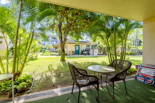 a view of a two chairs in the patio