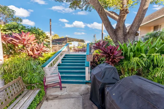 a view of a backyard with a garden