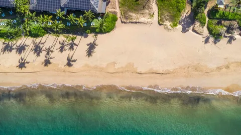 a view of a city with ocean view