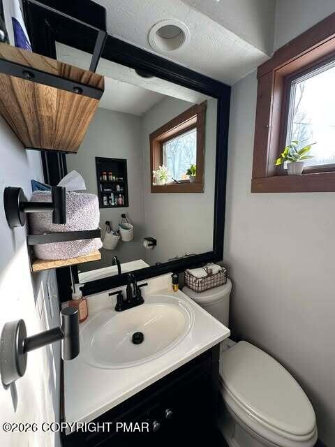 4309 Winchester Way Bushkill, PA 18324 - Photo 33 of 56 a bathroom with a sink a mirror and a toilet