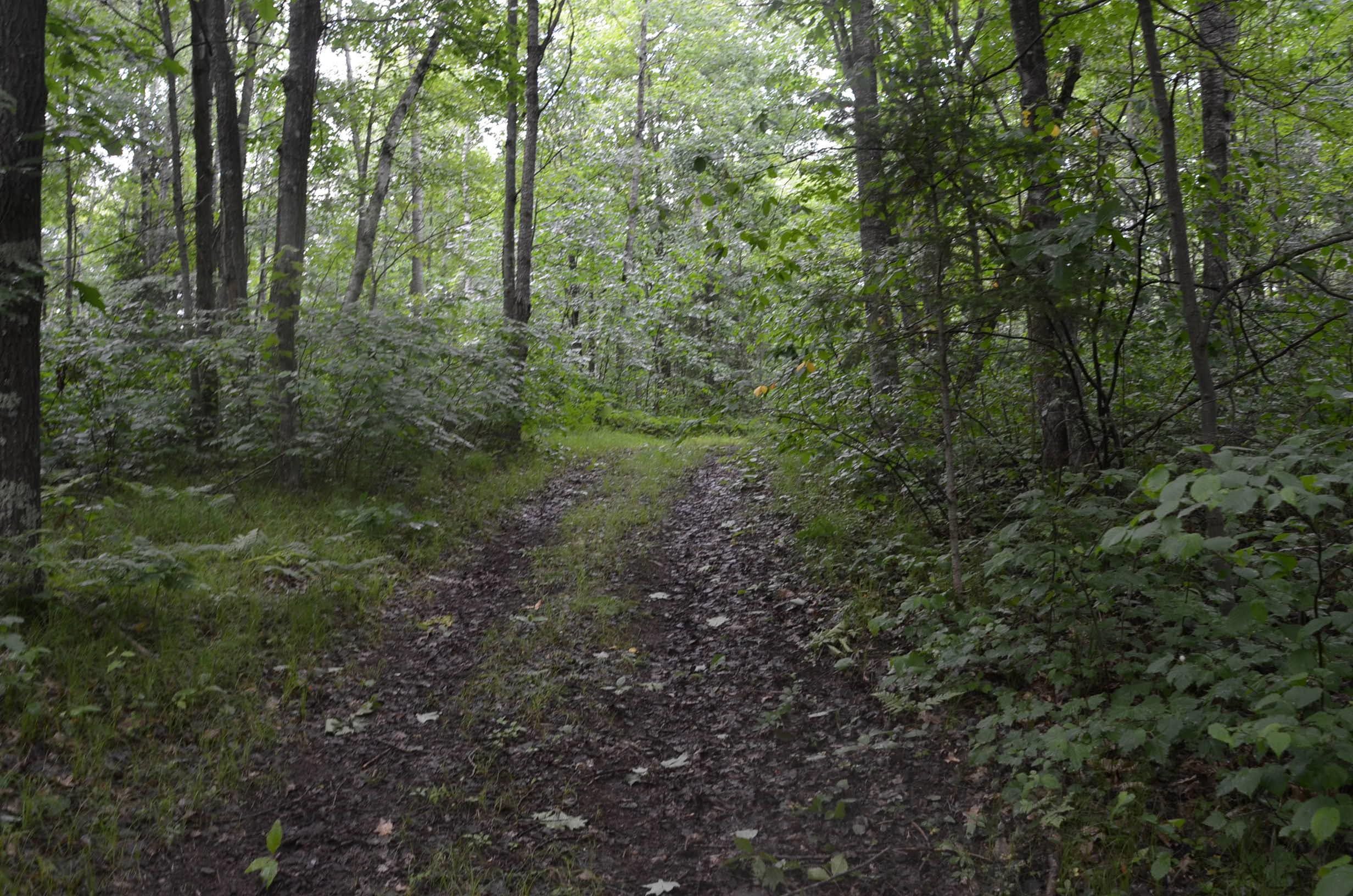 4140 Poskie Road Rhinelander, WI 54501 - Photo 15 of 58