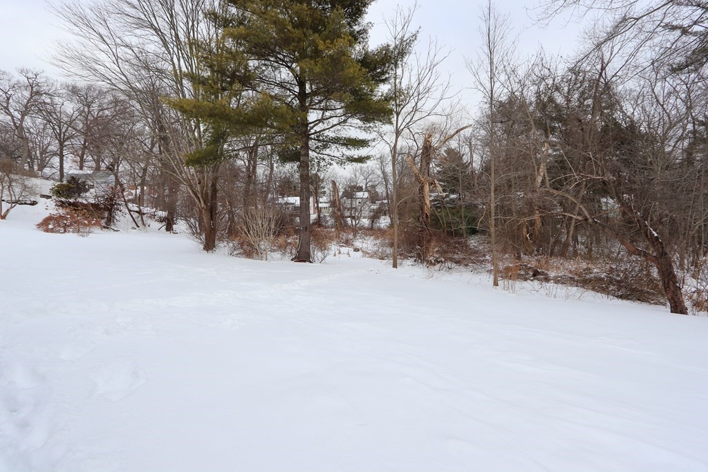 984 Webster Street Needham, MA 02492 - Photo 18 of 18 Gallery Image 18
