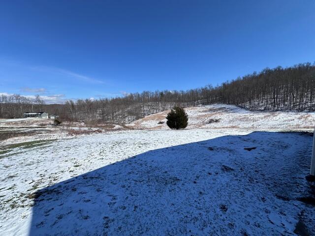 7082 Furnace Road Stanton, KY 40380 - Photo 9 of 27 IMG_3007