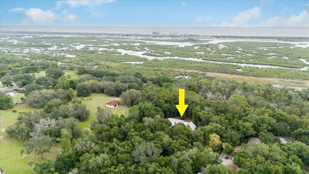 5711 John Anderson Highway Flagler Beach, FL 32136 - Photo 44 of 68