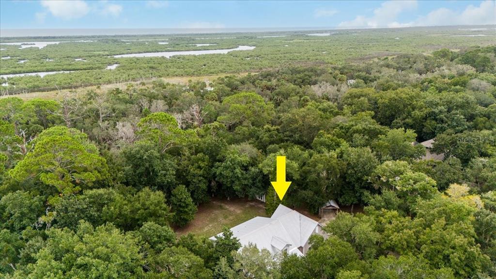 5711 John Anderson Highway Flagler Beach, FL 32136 - Photo 47 of 68