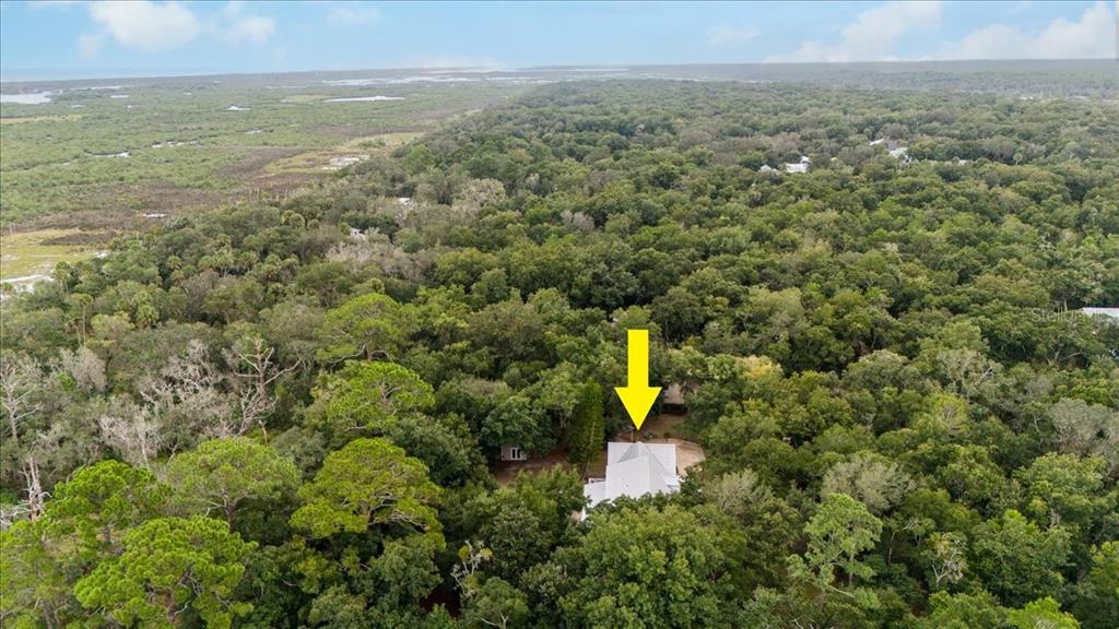 5711 John Anderson Highway Flagler Beach, FL 32136 - Photo 48 of 68