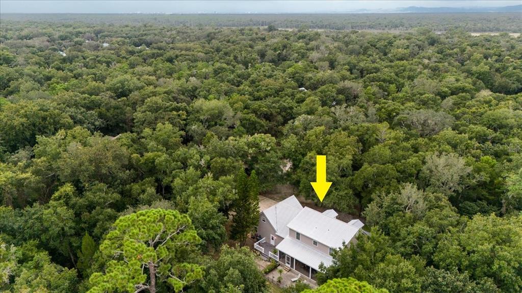 5711 John Anderson Highway Flagler Beach, FL 32136 - Photo 49 of 68