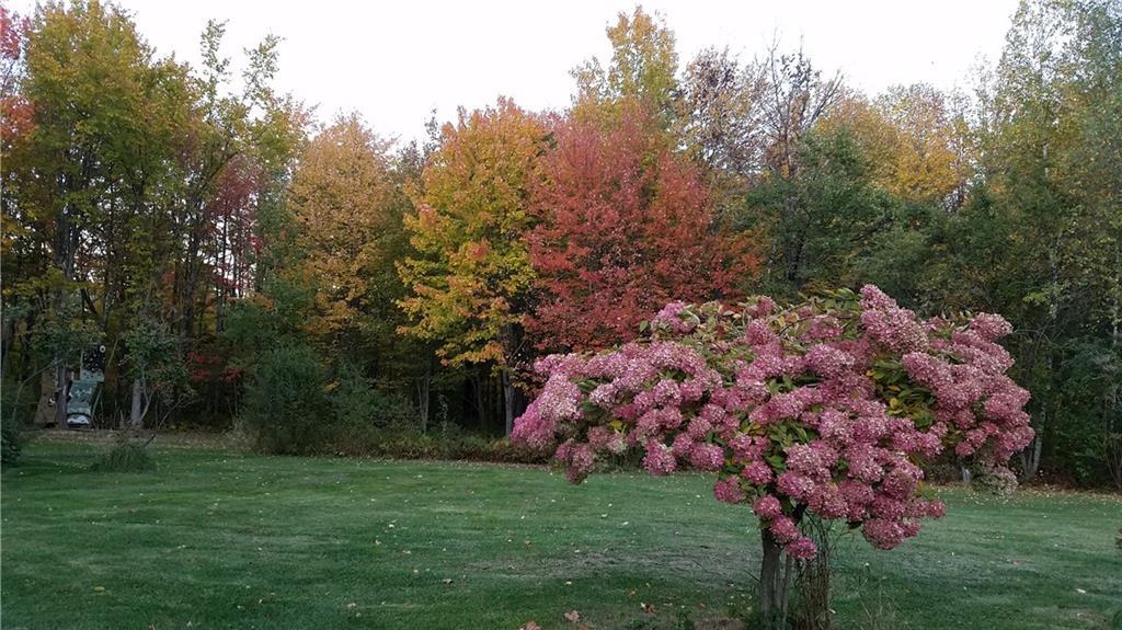 281 Duck Pond Road Westbrook, ME 04092 - Photo 20 of 20 Back yard in Fall