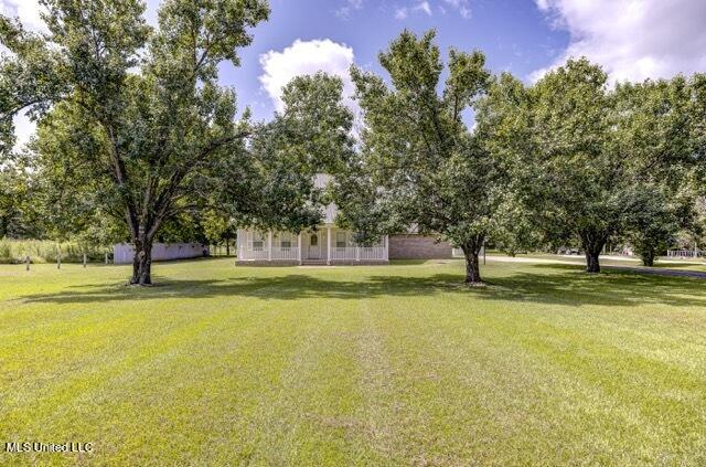 320 Burnt House Road Vicksburg, MS 39180 - Photo 7 of 64 Front Yard View 2