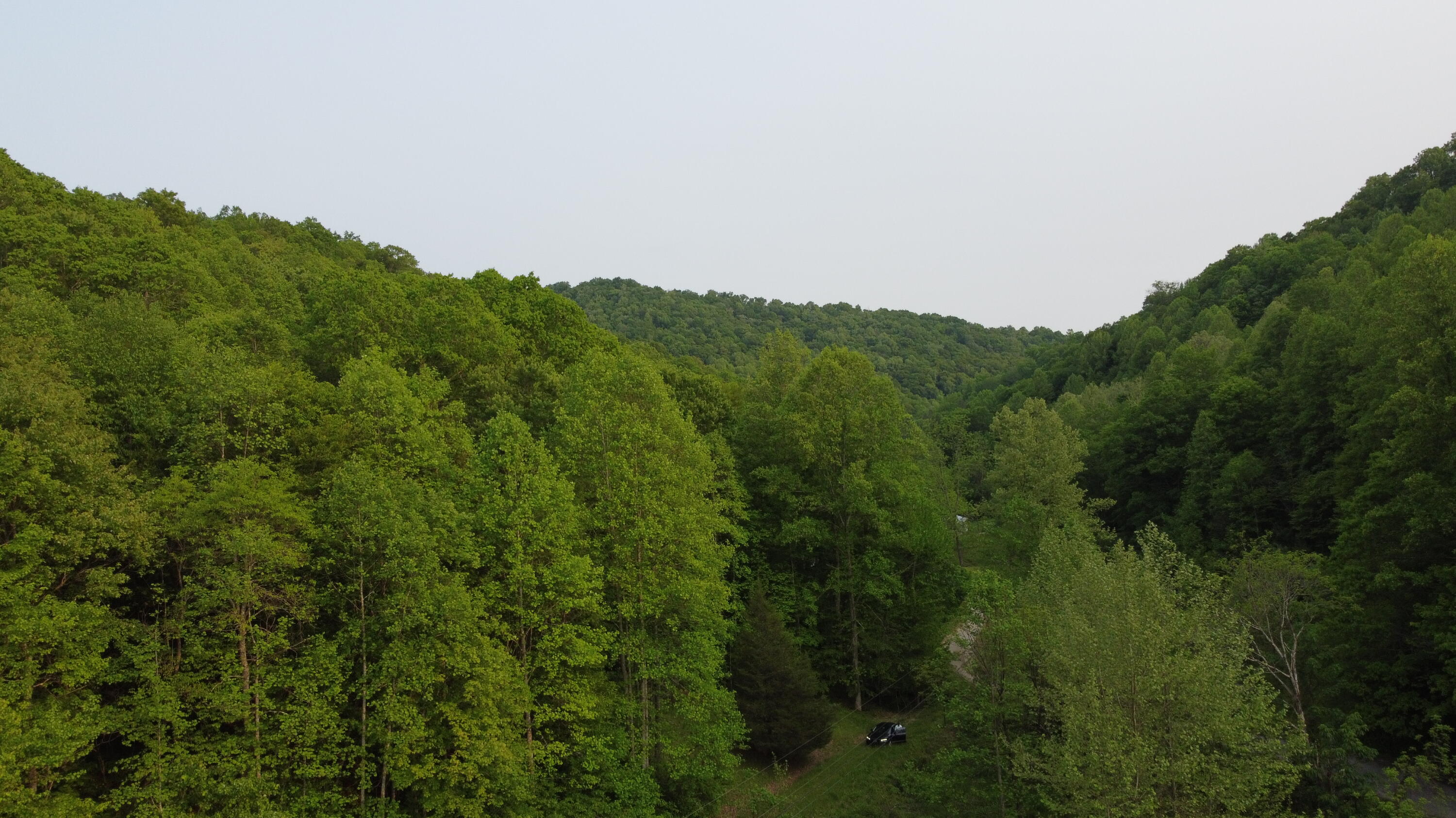 50 Buckeye Branch Road Flat Lick, KY 40935 - Photo 4 of 5 4