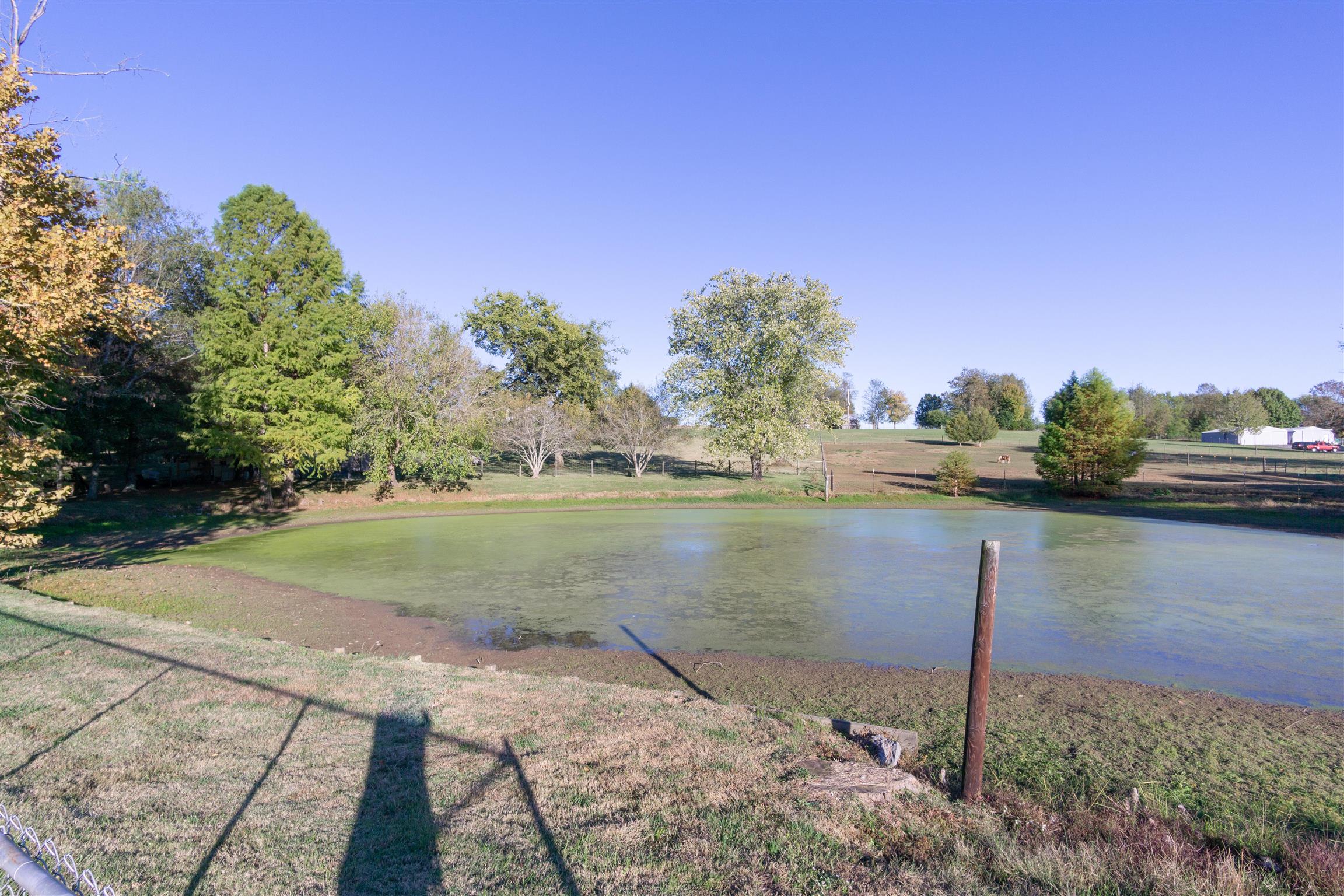 1444 Hardison Road, Unit 3 Columbia, TN 38401 - Photo 28 of 30 View of the fenced in pond