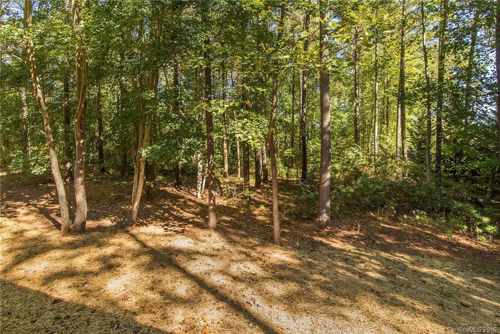7332 Bankhead Road, Unit 3 Denver, NC 28037 - Photo 24 of 24 Gallery Image 24