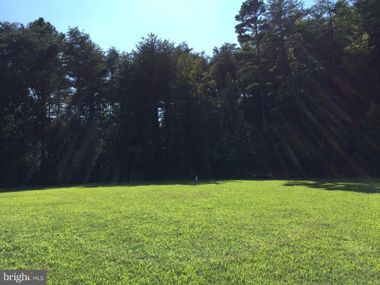 2761 Eastham Road Bumpass, VA 23024 - Photo 6 of 23 FABULOUS YARD - 2.27 ACRES