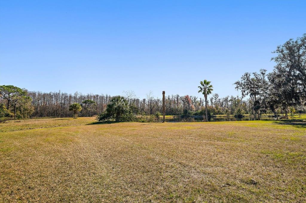 18419 Tyler Road Odessa, FL 33556 - Photo 34 of 38 a view of an outdoor space and a yard
