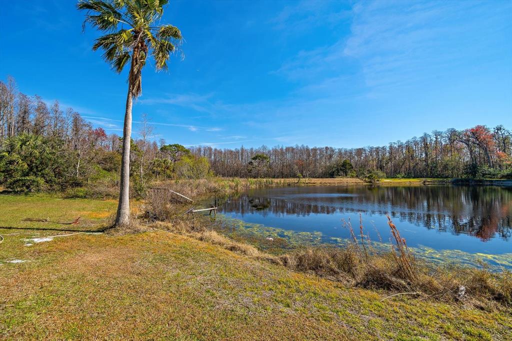 18419 Tyler Road Odessa, FL 33556 - Photo 5 of 38 a lake view with a house in the background