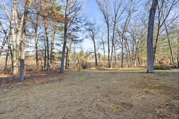 88 Wright Road Concord, MA 01742 - Photo 36 of 42 a view of dirt yard with a tree