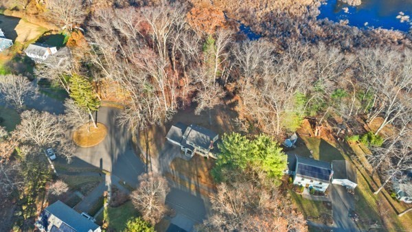 88 Wright Road Concord, MA 01742 - Photo 38 of 42 a view of tree